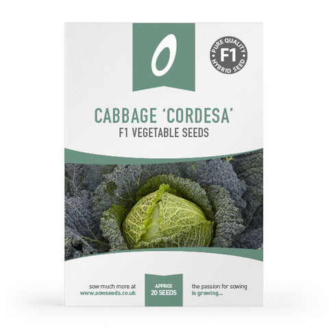 Cabbage Cordesa F1 Seeds