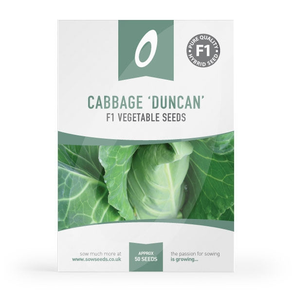 Cabbage Duncan Seeds