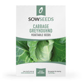 Cabbage Greyhound Seeds