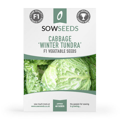 Cabbage Winter Tundra F1 Seeds (AGM)