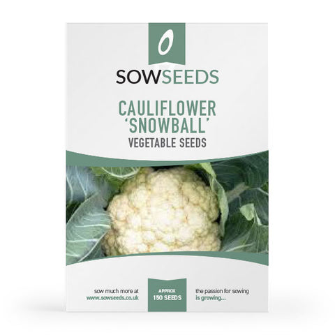 Cauliflower Snowball Seeds