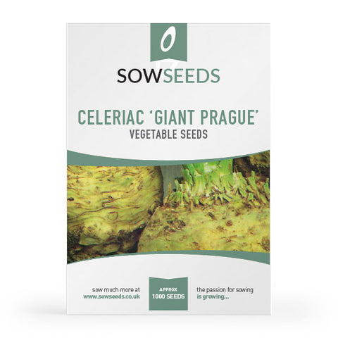 Celeriac Giant Prague Seeds