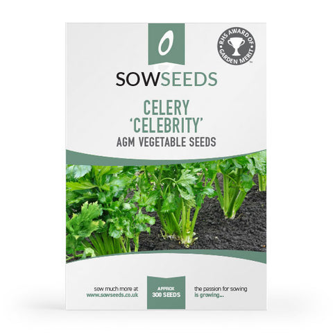 Celery Celebrity AGM Seeds