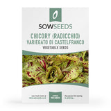chicory radicchio variegato di castelfranco heritage vegetable seeds