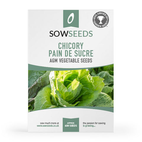 Chicory Pain de Sucre (Sugarloaf) AGM Seeds