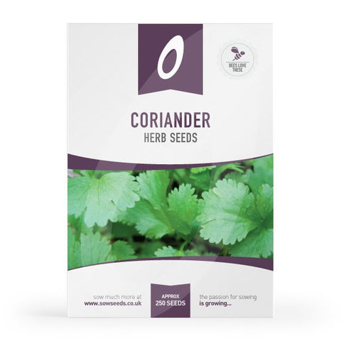 Herb Coriander Seeds