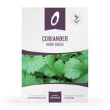 coriander herb seeds