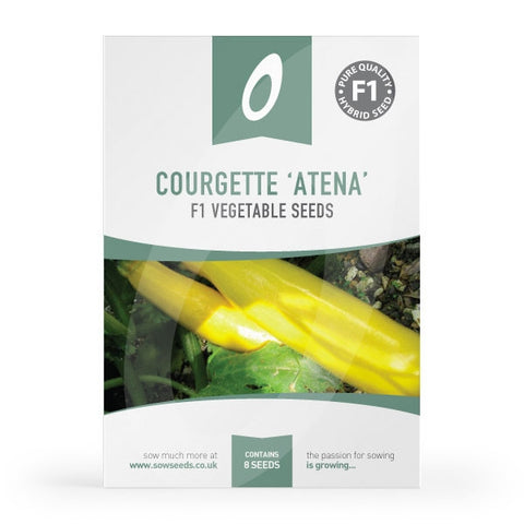 Courgette Atena F1 Seeds