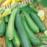 courgette early gem agm f1 vegetable seeds