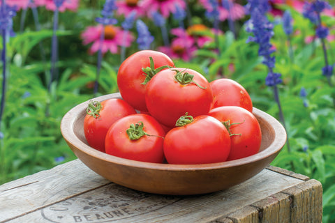 tomato crimson crush f1 vegetable seeds