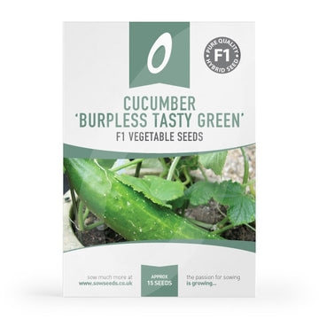 Cucumber Burpless Tasty Green Seeds