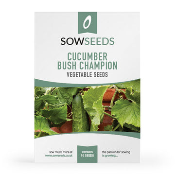 cucumber bush champion vegetable seeds