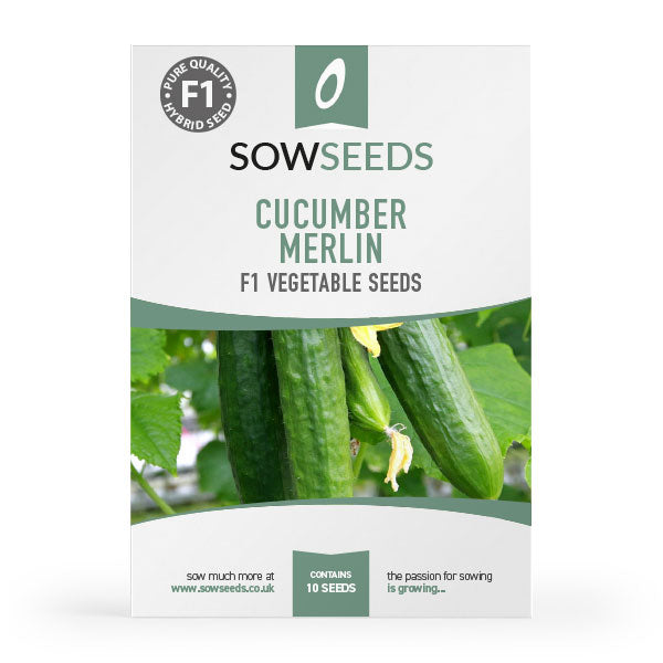 cucumber merlin f1 vegetable seeds