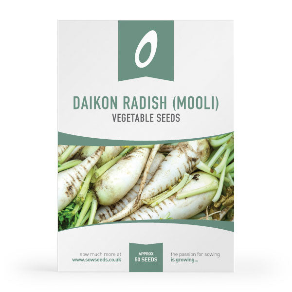 Daikon Radish (Mooli) Seeds