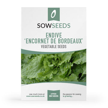 endive encornet de bordeaux vegetable seeds