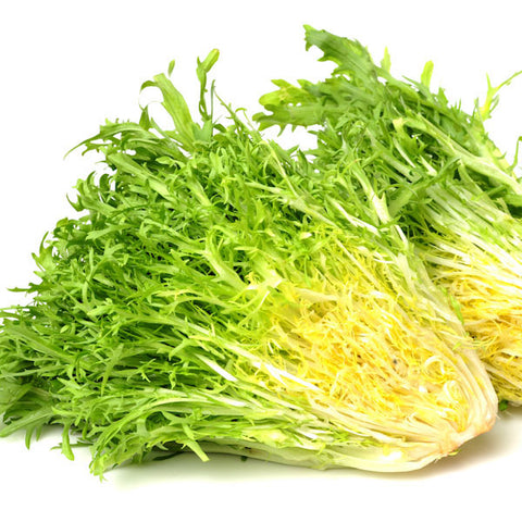 endive panaclieri vegetable seeds agm