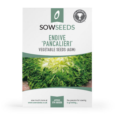 Endive Pancalieri Seeds (AGM)