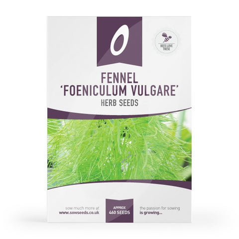 Herb Fennel Seeds