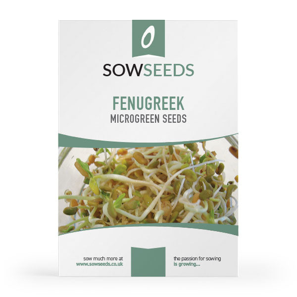 fenugreek microgreen sprouting seeds