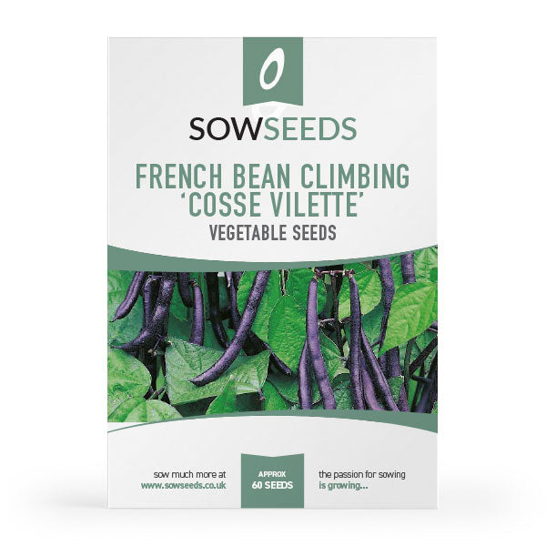french bean climbing pol cosse violette