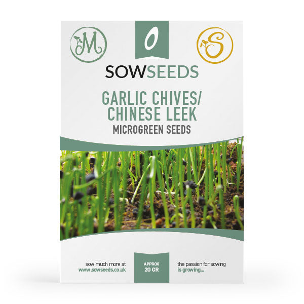 garlic chives chinese leek microgreen sprouting seeds