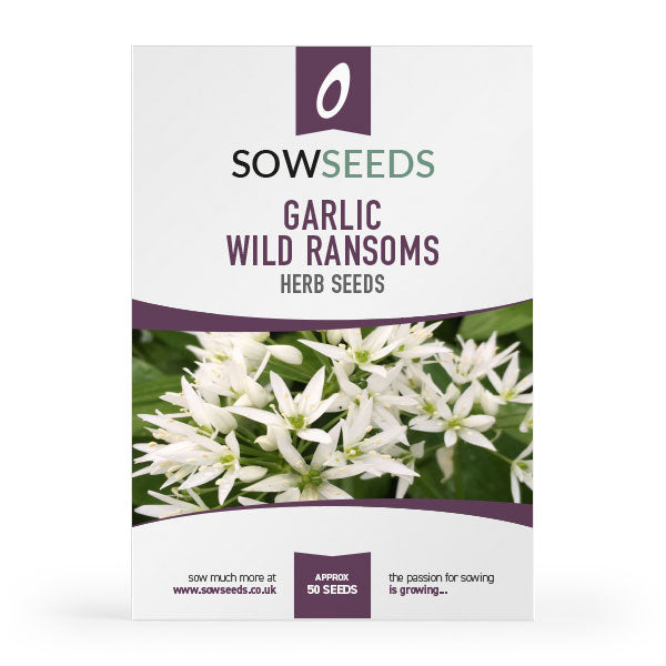 wild garlic flower seeds Herb Garlic Wild Ramsoms Seeds