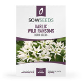 herb garlic wild ransoms seeds