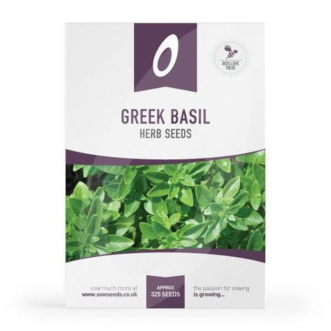 Herb Greek Basil Seeds