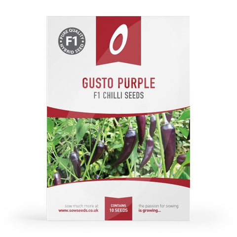 Chilli Pepper Gusto Purple F1 Seeds