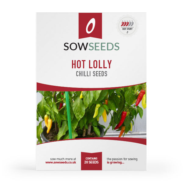 hot lolly chilli seeds