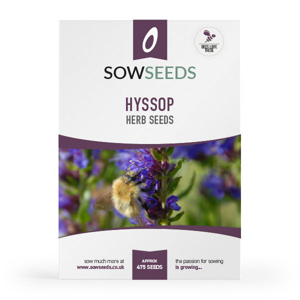 herb hyssop seeds