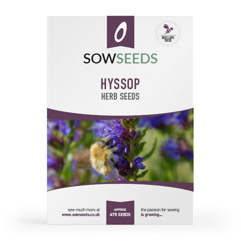 Herb Hyssop Seeds