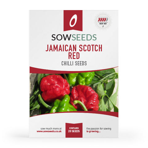 Chilli Pepper Jamaican Scotch Red Seeds