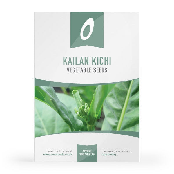 Kailan Kichi Seeds