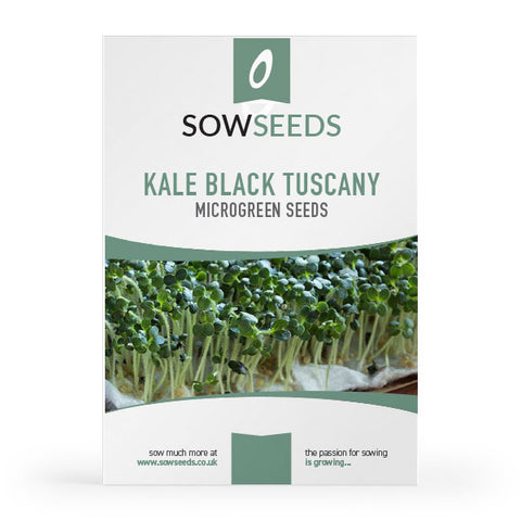 Kale Black Tuscany Microgreens Seeds