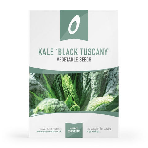Kale Black Tuscany Seeds 'Borecole'