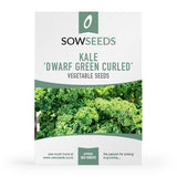 kale dwarf green curled vegetable seeds