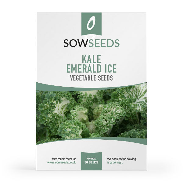 kale borecole emerald ice vegetable seeds