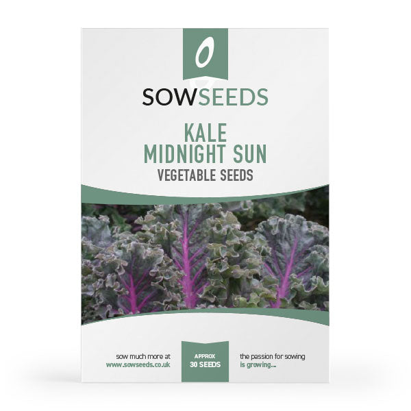 kale borecole midnight sun vegetable seeds
