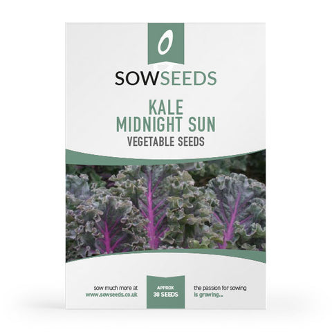 Kale 'Borecole' Midnight Sun Seeds