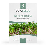 kale red russian microgreen sprouting seeds