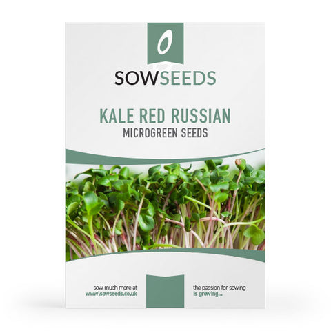 Kale Red Russian Microgreens Seeds