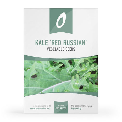 Kale Red Russian Seeds 'Borecole'