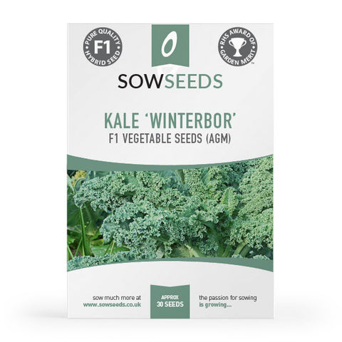 Kale Winterbor F1 Seeds (AGM)
