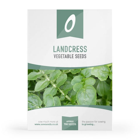 Landcress (American Land Cress) Seeds