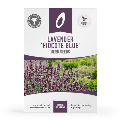 Herb Lavender 'Hidcote Blue' Seeds (AGM)