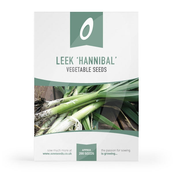 Leek Hannibal Seeds