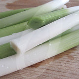 Leek Musselburgh Seeds