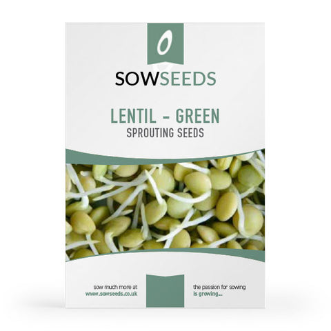 Lentil Green Microgreens Sprouting Seeds