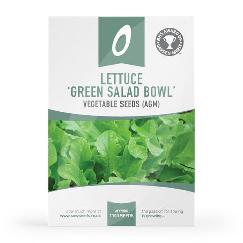 Lettuce Green Salad Bowl (Loose-Leaf) Seeds (AGM)
